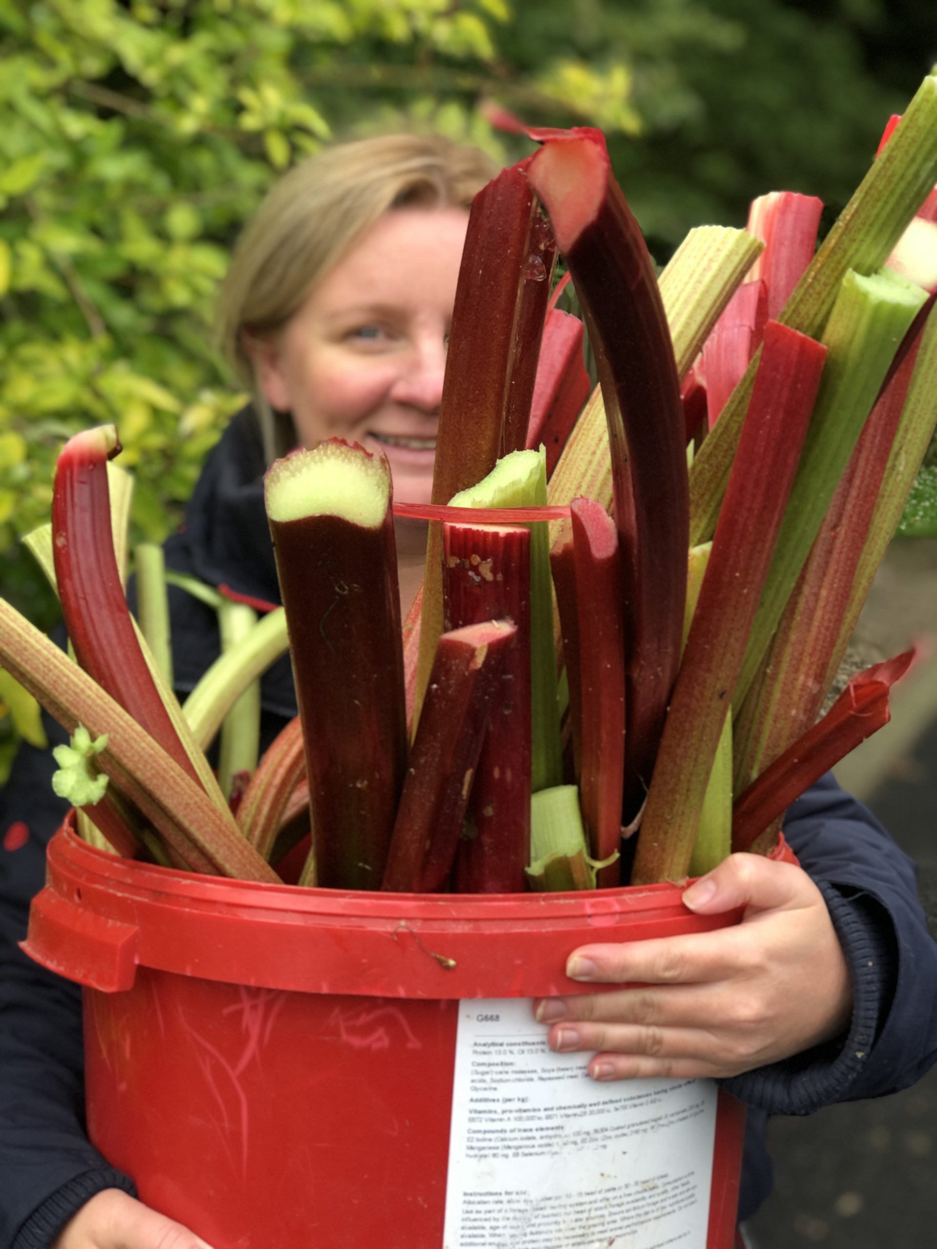 Stewed rhubarb - The Batch Lady
